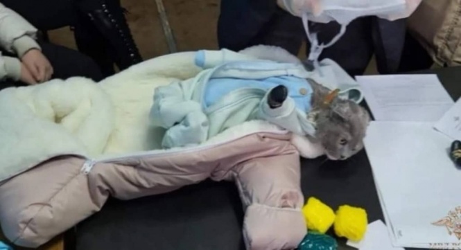 猫を人間の赤ちゃんに擬装し、ベビー服に薬物を隠し持っていた女性が警察に逮捕される