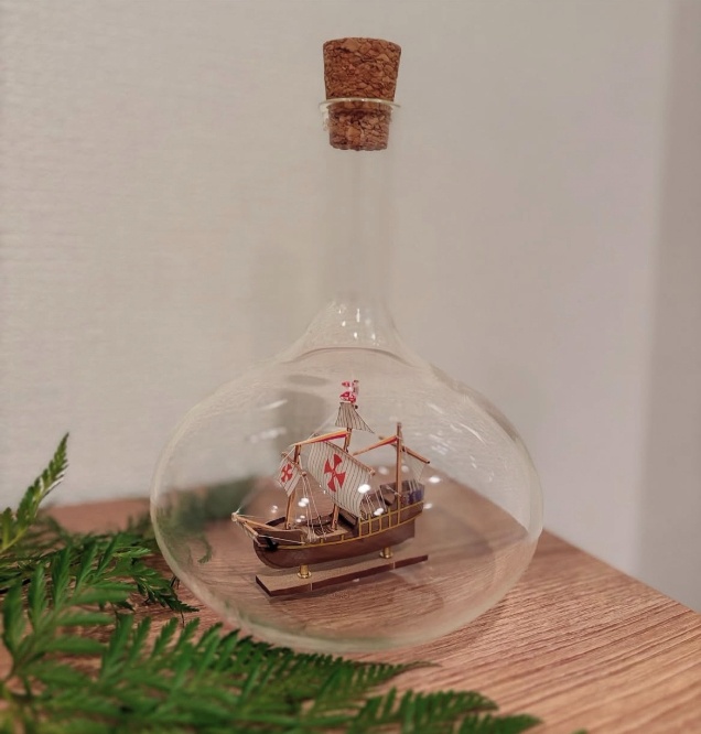 Instagram:渡邊 渚(@watanabenagisa_)より