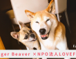 Eager Beaverのプレスリリース画像