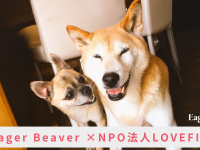 Eager Beaverのプレスリリース画像