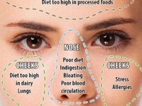 ニキビや吹き出物のできる位置でわかるあなたの健康状態とその解消法（英研究）