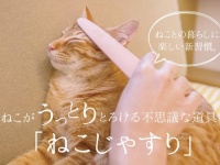 至福の表情に...！（画像はワタオカ公式サイトより）