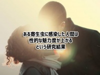 寄生虫、トキソプラズマに感染した人間は性的に魅力的に見える可能性