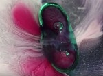 薬が「溶ける」様子を長時間撮影した映像が超サイケデリックだった！？