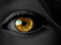 脳に直接信号を送る「視覚インプラント」で6年ぶりに光を取り戻した女性（スペイン研究）