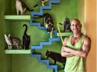 まさに猫の楽園。20匹の保護猫のための完璧な家を作り上げた男性