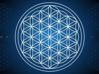 教会にある幾何学模様「フラワー・オブ・ライフ」(生命の花)の意味は？