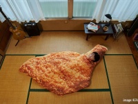 大好きなチキンに包まれて～ 睡眠中の飢えをしのげる「巨大モスチキン寝袋」が抽選で当たるキャンペーン