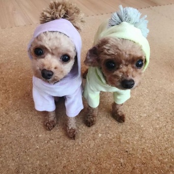 ※画像は絢香のインスタグラムアカウント『＠ayaka_official_jp』より