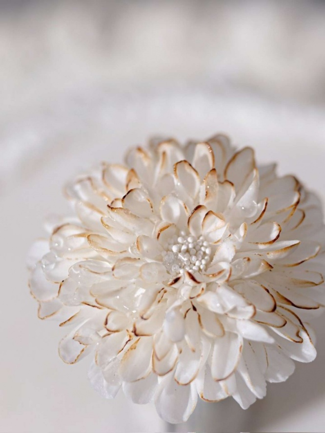 長谷川健太＠SUCRETIER（＠kenta_sucretier）さんの投稿より、再掲