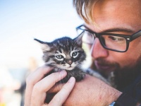 猫嫌いだった父が豹変。猫を引き取ったとたん溺愛する様に娘びっくり