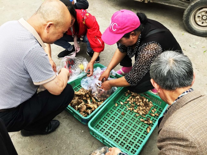 kinoko-china15