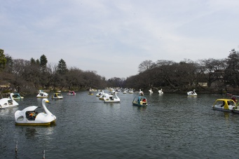 吉祥寺の観光名所・井の頭公園