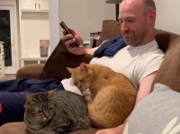 猫好きの妻のため、2匹の猫を引き取った犬好きな夫。猫の愛情はすべて夫に注がれ妻は疎外感