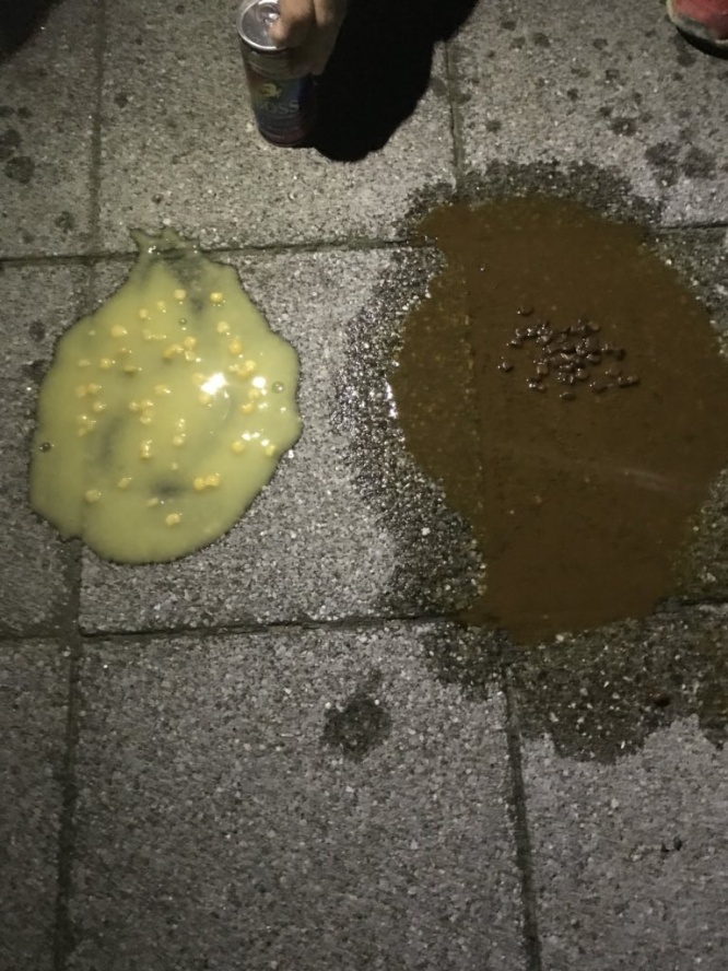 比較