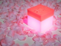 おしゃれな高機能LEDミニライトに春の新色が誕生！エネヴュー キューブ「グローピンク」