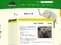 アジアゾウ「はな子」についての発表(福岡市動物園ウェブサイト