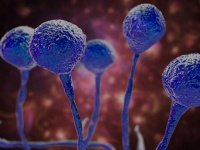 インドの新型コロナ感染者、回復者の間で真菌感染症「ムコール症」が急増中