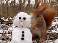 おとぎの国、ここにありました！リスがミニ雪だるまと遊んでいるよ