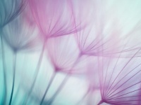 ドキっ。ピアノを聴く夢の意味は「大人の恋」の暗示