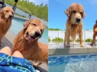 夏が来た？となったらプールに飛び込むっきゃないでしょう！ゴールデン父子のわくわく水遊びこの後すぐ！