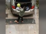 あ〜あ… 車のトランクから大きなスイカを取り出した男性が…！