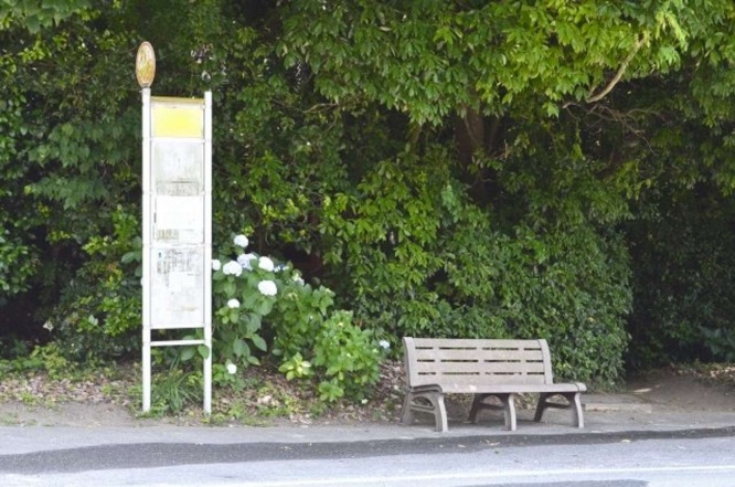 バスを降りた瞬間に転び...（画像はイメージ）