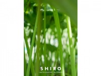 SHIROから「ラワンぶき」にふきのとうを合わせた旬シリーズ「ふき 2023」が数量限定で登場