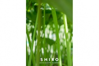 SHIROから「ラワンぶき」にふきのとうを合わせた旬シリーズ「ふき 2023」が数量限定で登場