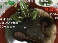 レアチーズケーキで作られたカエルがリアルすぎて悲鳴続出！　「冷蔵庫にあったら絶叫する」