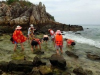 島に上陸してサンゴを採る観光客たち