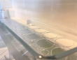 冷蔵庫に卵を仕舞ってドア閉めたら→まさかの〝悲劇〟　「そんなことある？」「本当に虚しい」と5.1万人同情
