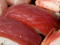なんと、アメリカで出回っているまぐろの3分の2はマグロじゃない