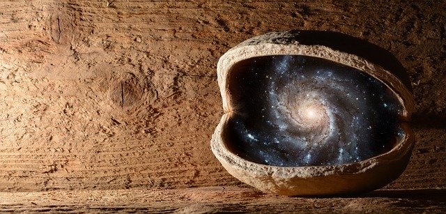 nut-2638493_640