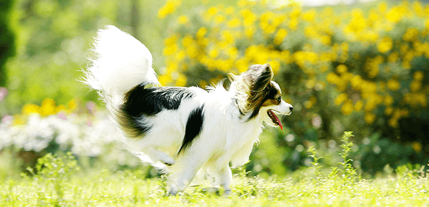 「Doctors Me（ドクターズミー）」コラム画像