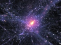 宇宙を形成する銀河同士のネットワーク「コズミック・ウェブ」を粘菌で再現（米研究）
