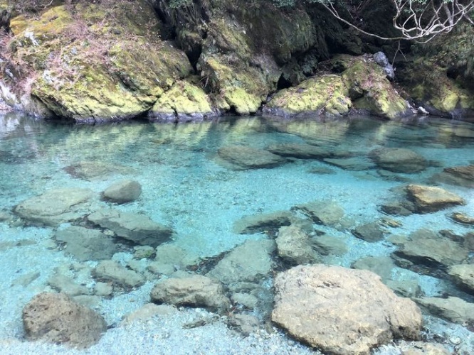 GTGP JAPAN Corporationのプレスリリース画像