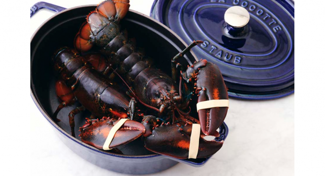 みなとみらいPRセンターのプレスリリース画像