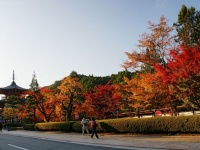 外国人旅行者の為の「インスタ映えする日本の観光スポット10」