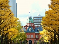 生徒4人を乗せて『居眠り運転・街路樹に激突』　中学校教諭(43)減給処分　生徒は「右腕骨折」の重傷