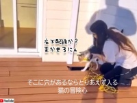 穴？やってやんよ？猫の冒険心を利用した床下配線法