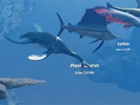 古代の絶滅種から現存種まで、水中生物の体長を比較した面白動画