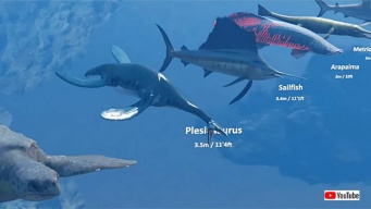 古代の絶滅種から現存種まで、水中生物の体長を比較した面白動画