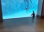 どうしてこうなった…  人間界に迷い込んだペンギンが切ない！