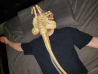 睡眠時無呼吸症候群と診断された男性。寝る時に吸引マスクをしろといわれたのでフェイスハガー風に改造してみた