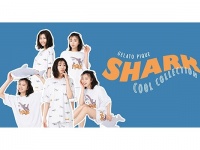 gelato piqueから昨年人気を博したシャークとシロクマモチーフの”COOL COLLECTION”新アイテムが登場