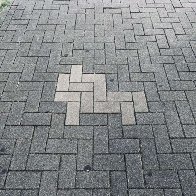 犬...？　どこ...？（画像提供はカナイガ（＠shiragaigarashi）さん）