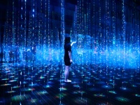 サウナ上級者もハマる！　都心の本格ととのい体験＆絶品サ飯レポ