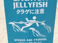 海月姫。の能年玲奈がクラゲのネックレスを披露