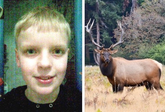 リアルでも役立っていた！オンラインゲームで習得したスキルで妹を守った少年に関する海外の反応（ノルウェー）